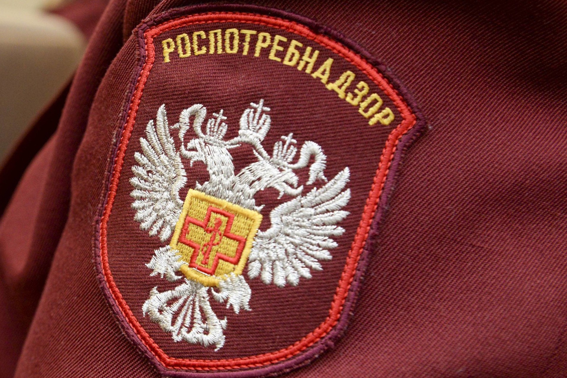 Роспотребнадзор запускает горячую линию 8 800 555 49 43 по вопросам о маркировке товаров Честный Знак