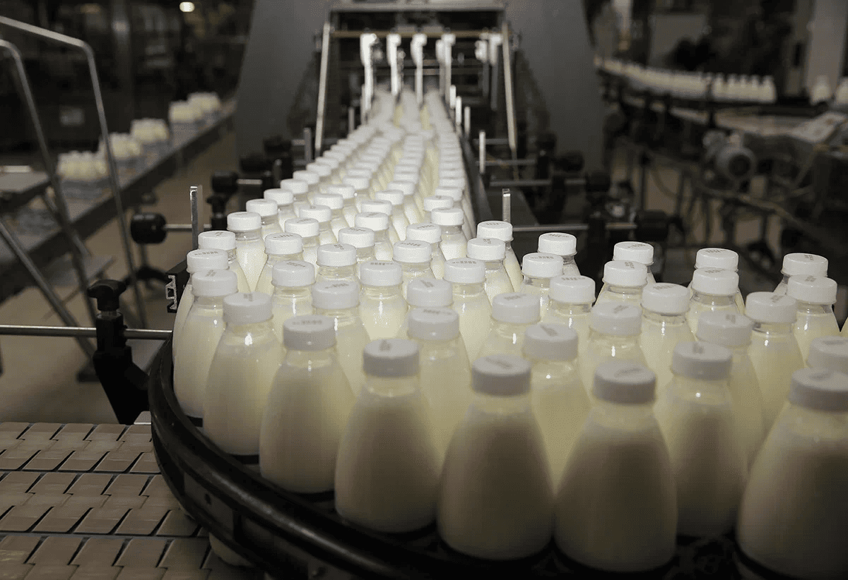 Dairy Products